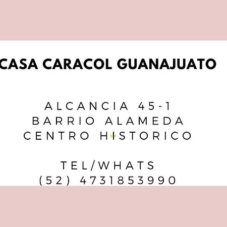 Casa Caracol Guanajuatoアパートホテル エクステリア 写真