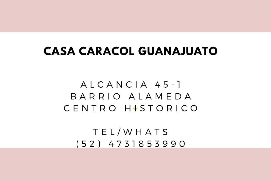Casa Caracol Guanajuatoアパートホテル エクステリア 写真